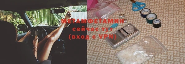 шишки Верея