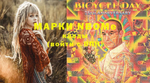 индика Верхний Тагил