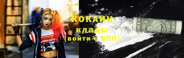 молекула духа Бородино