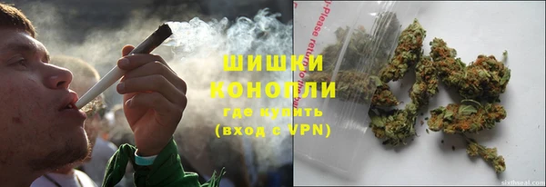 молекула духа Бородино