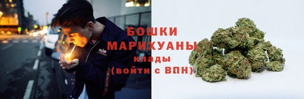 молекула духа Бородино