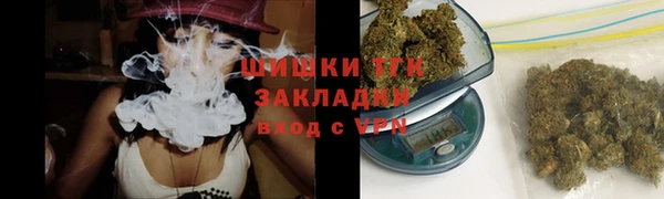 шишки Верея