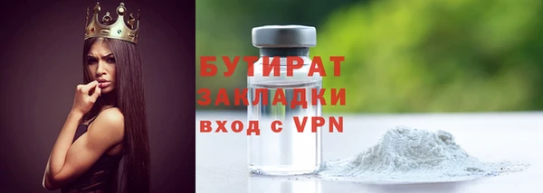 шишки Верея