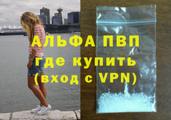 индика Верхний Тагил