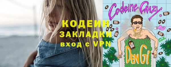 шишки Верея