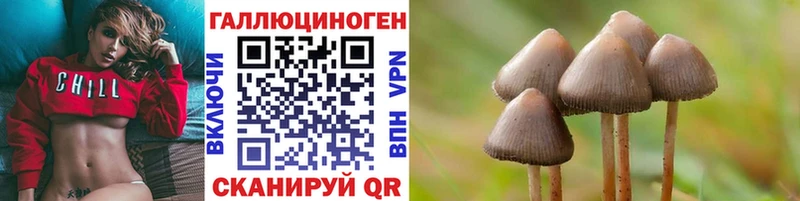 Купить где  Новоульяновск  Псилоцибиновые грибы мицелий 